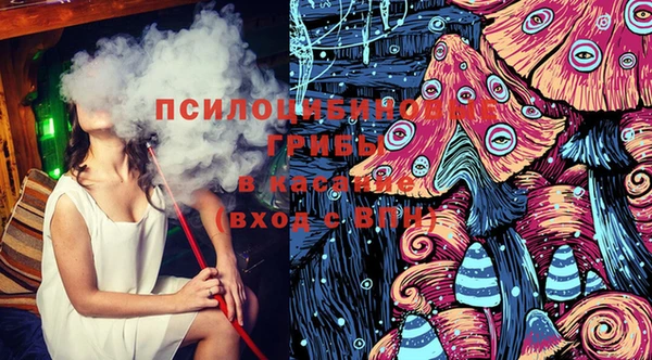 молекула духа Алексин