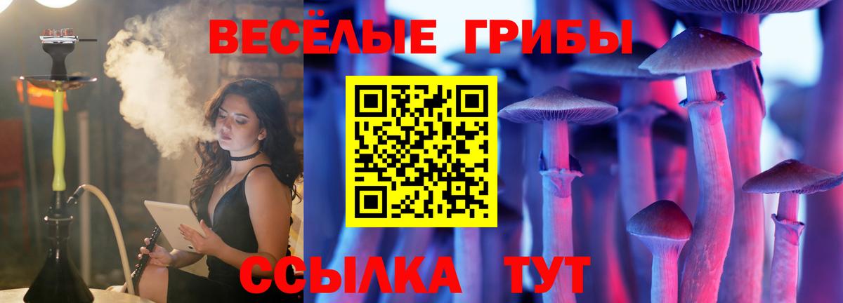 Нурлат  купить закладку  Вход с VPN  Псилоцибиновые грибы Psilocybe 